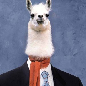 Meet your Posher, Mccartney